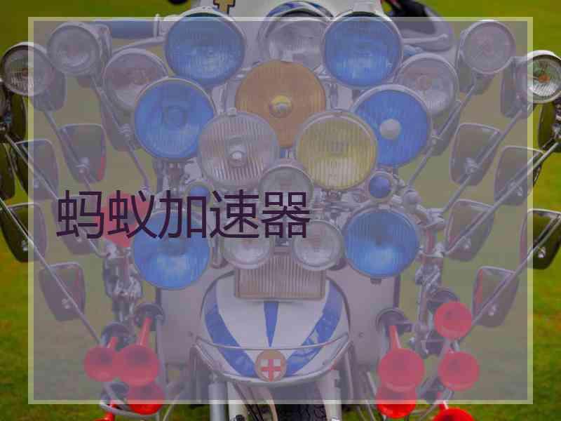 蚂蚁加速器 蚂蚁加速器