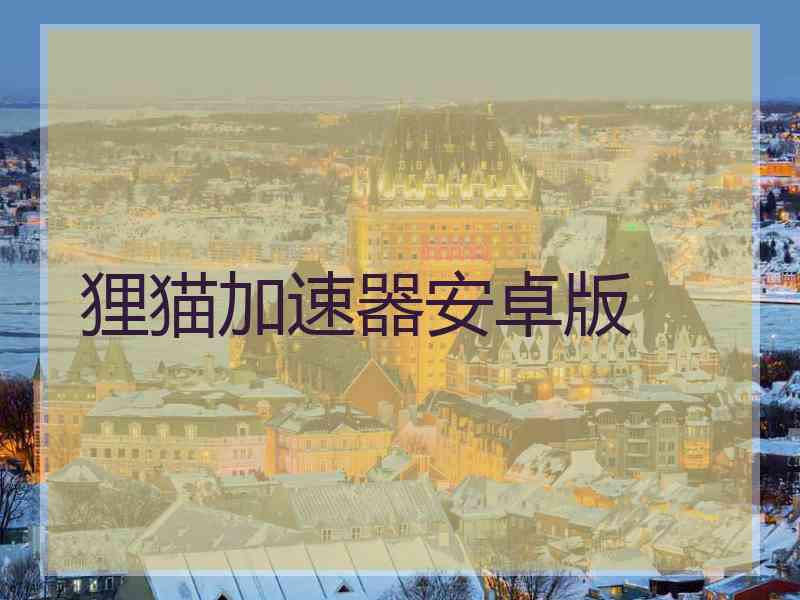 狸猫加速器安卓版